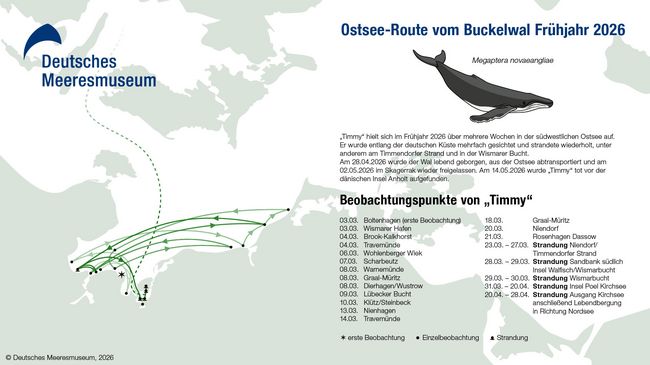 Ostseekarte mit eingezeichneter Route und Daten eines Buckelwals