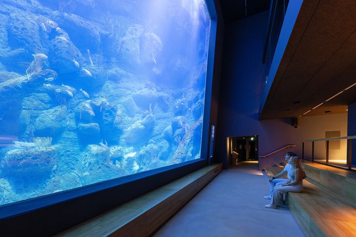 Zwei Personen sitzen vor einem raumhohen Aquarium, welches sich über mehrere Etagen erstreckt