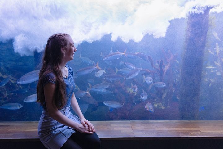 A young woman sits in front of an aquarium pane and looks into the tank.