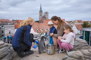 Bianka Goßlau und ihre zwei Kinder bei der Pinguinfütterung mit Tierpflegerin Anne May auf der Dachterrasse des OZEANEUMs. Foto: Anke Neumeister/Deutsches Meeresmuseum