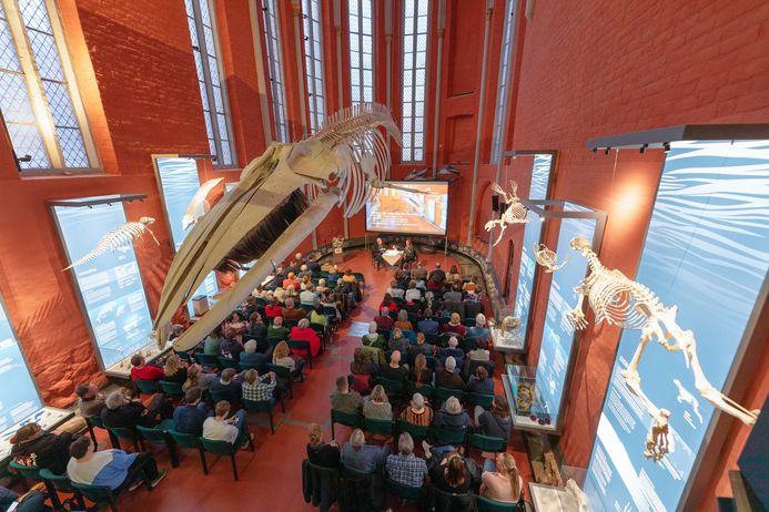 Skelett eines Wales in einem orangefarbenen Kirchenchor