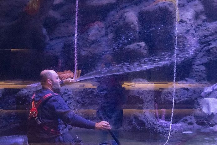 Mann hält Schlauch in der Hand und befindet sich vor einer Felsdekoration in einem Großaquarium