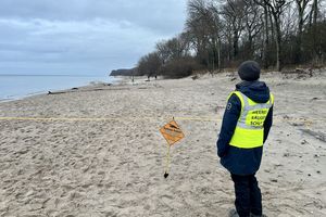 Eine Person mit Warnweste steht hinter einer Absperrung am Strand. In der Ferne liegt ein Tier, dahinter sind weitere Personen. Foto: Kerstin Schweichhart