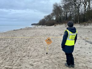 Eine Person mit Warnweste steht hinter einer Absperrung am Strand. In der Ferne liegt ein Tier, dahinter sind weitere Personen. Foto: Kerstin Schweichhart