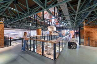A standing woman and a man sitting in a wheelchair are looking at hanging shark models.