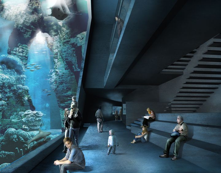 Entwurf für das Großaquarium (Grafik: Reichel Schlaier Architekten)