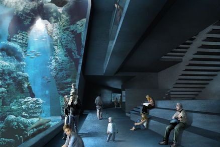 Entwurf für das Großaquarium (Grafik: Reichel Schlaier Architekten)