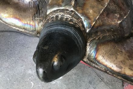 Der Kopf einer bronzenen Skulptur einer Schildkröte von oben betrachtet.