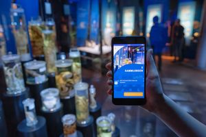 Eine Hand hält ein Smartphone mit geöffneter App "Frag-Walfred!". Im Hintergrund sind Ausstellungsräume erkennbar.