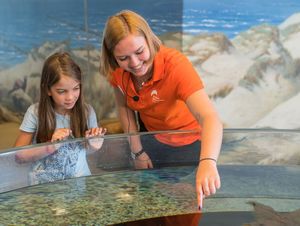 Mitarbeiterin zeigt Kindern Meeresbewohner im Aquarium