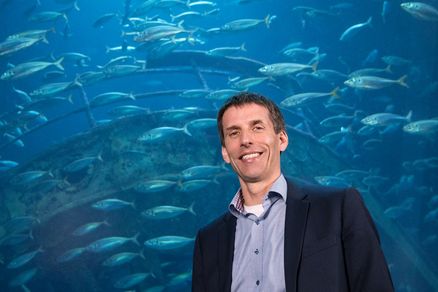Museumsdirektor Burkard Baschek vor einem Aquarium mit einem Fischschwarm