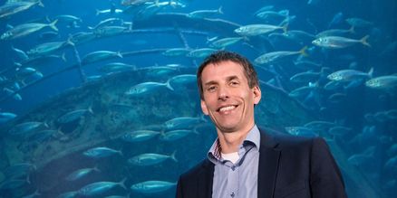 Museumsdirektor Burkard Baschek vor einem Aquarium mit einem Fischschwarm