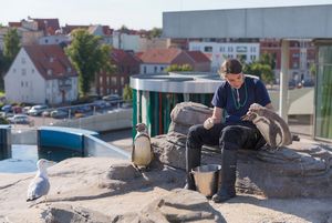 Eine Wissenschaftlerin beim Training der Pinguine