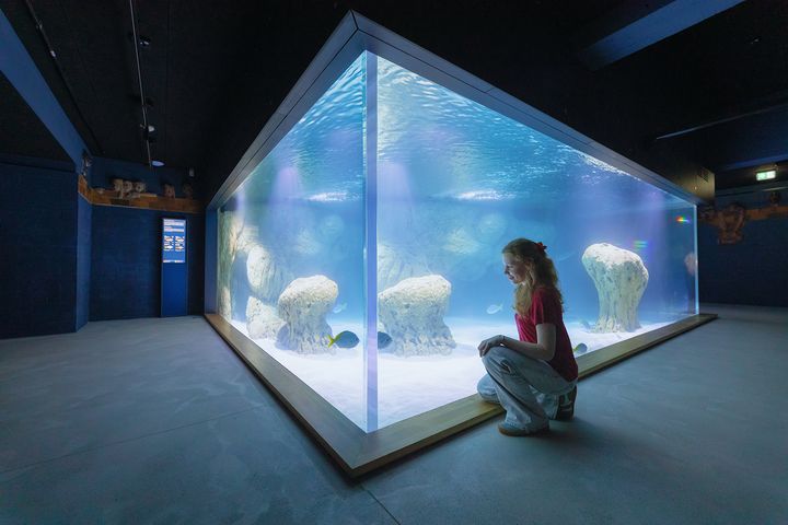 Besucherin hockt vor dem Fidschi-Aquarienbecken und beobachtet Fische