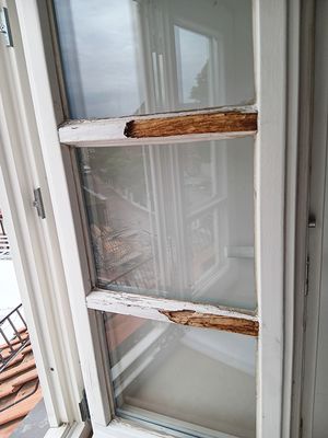 Verwitterte Fenstersprossen an einem Holzfenster. (Foto: Martin Dobberstein/Deutsches Meeresmuseum)