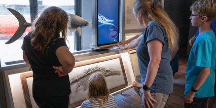 Personen stehen vor einem Bildschirm, der wie ein Röntgengerät vor einem Fischmodell steht