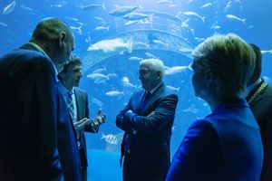 Menschen vor einem raumhohen Aquarium mit Schifffswrack und Fischen
