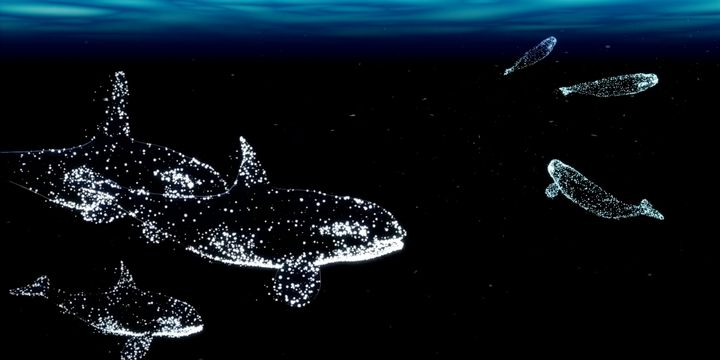 Grafische Darstellung von Walen aus zahlreichen kleinen weißen Punkten