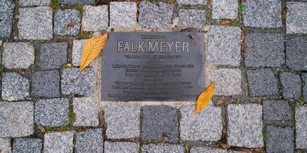 Gedenkplatte für Falk Meyer in das Pflaster vor dem MEERESMUSEUM Stralsund eingelassen. Die bronzene Platte trägt seinen Namen, Lebensdaten und Hinweise auf sein Wirken. Zwei herbstliche Blätter liegen auf dem Steinpflaster.