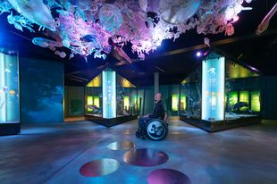 Ein Mann im Rollstuhl schaut zu einer Deckeninstallation hinauf, die Plankton im Wasser zeigt