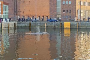 Auftauchender Wal in einem Hafenkanal