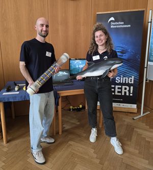 Eine Frau und ein Mann stehen vor einem Roll-Up des Deutschen Meeresmuseums und präsentieren Exponate zum Schweinswal.