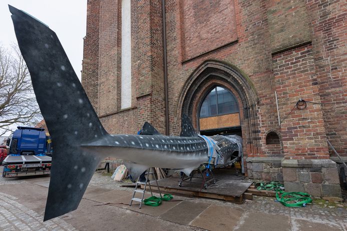 Über den Nordhof gelangten die Modelle durch eine Türöffnung ins Museum. (Foto: Anke Neumeister/Deutsches Meeresmuseum)