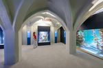 Besucherin steht im Bereich "Pazifik" im Aquarienkeller mit Gewölbedecke 