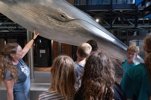 Personen stehen vor einem Walmodell