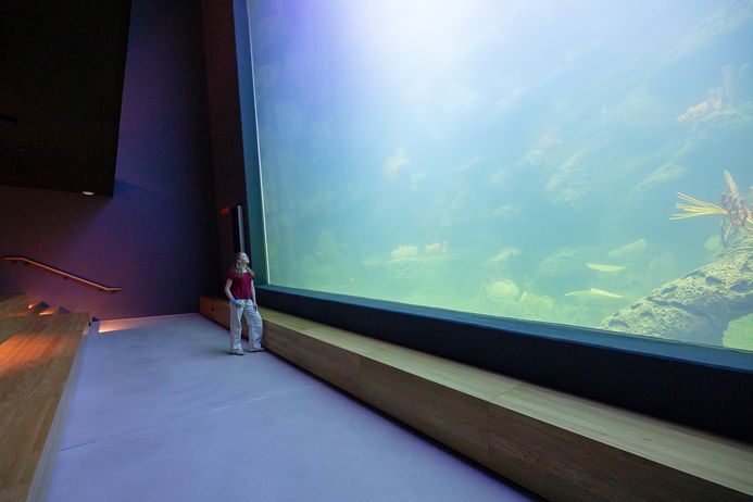 Besucherin vor einem Großaquarium