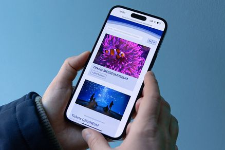 Ein Smartphone wird in den Händen gehalten und zeigt Bilder von Fischen