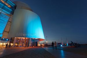 Ein weißes Vordach eines Gebäudes mit dem Schriftzug "ozeaneum" ist in der Dunkelheit bunt beleuchtet. 