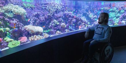 Ein Mann in einem Rollstuhl vor einem leuchtenden Aquarium mit tropischen Korallen. 
