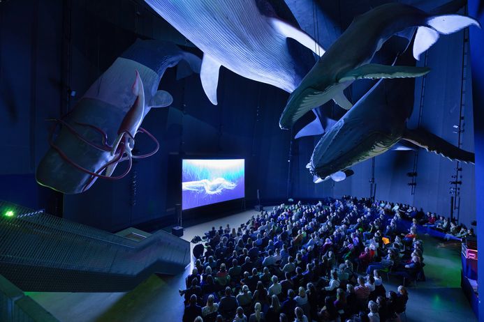 Leinwand vor Publikum in einer Halle mit hängenden Walmodellen