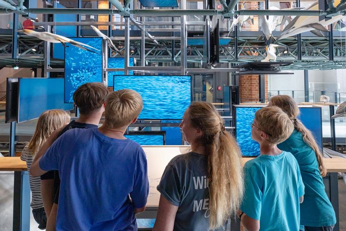 Museumsgäste vor hängenden Monitoren, auf denen Fischschwärme erkennbar sind