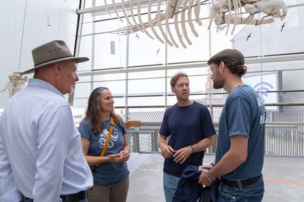 Im OZEANEUM informierten Andreas Tanschus, Prof. Dr. Judith Denkinger und Tim Taugnitz über den Zustand der Ostsee-Schweinswale und die Schutzmaßnahmen des Deutschen Meeresmuseums.
