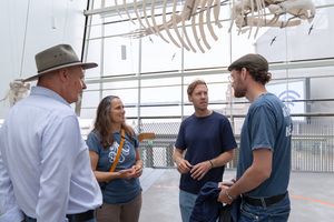 Im OZEANEUM informierten Andreas Tanschus, Prof. Dr. Judith Denkinger und Tim Taugnitz über den Zustand der Ostsee-Schweinswale und die Schutzmaßnahmen des Deutschen Meeresmuseums. 