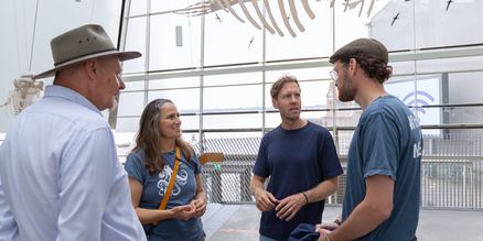 Im OZEANEUM informierten Andreas Tanschus, Prof. Dr. Judith Denkinger und Tim Taugnitz über den Zustand der Ostsee-Schweinswale und die Schutzmaßnahmen des Deutschen Meeresmuseums. 