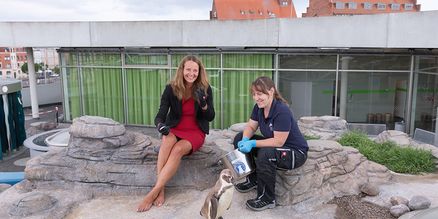 Bildungsministerin Bettina Martin mit Tierpflegerin Laura beim Füttern der Humboldt-Pinguine (Foto: Anke Neumeister/Deutsches Meeresmuseum)