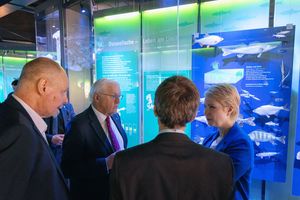 Personen vor einer Vitrine mit Fischen