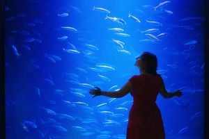 Frau steht vor einem Aquarium