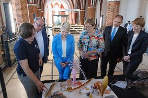 Daniela Sievers gibt anhand von Exponaten zum Kreidemeer einen Einblick in zukünftige Ausstellungen. (Foto: Anke Neumeister/Deutsches Meeresmuseum)
