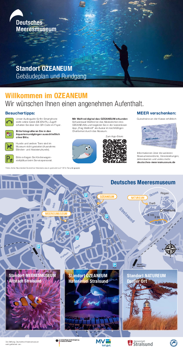 Querschnitt des OZEANEUMs