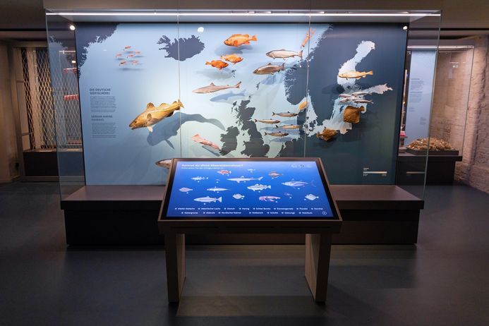 Ein Touch-Bedienfeld zeigt eine Auswahl an Fischen, im Hintergrund eine Vitrine mit Fisch-Exponaten
