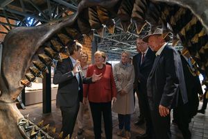 Eine Gruppe blickt durch das Modell eines Haigebisses