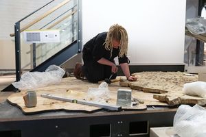 Mitarbeiterin bearbeitet fossile Kalksteinplatte
