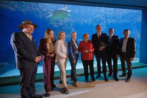 Eine Gruppe vor einem raumhohen Aquarium mit Schildkröten