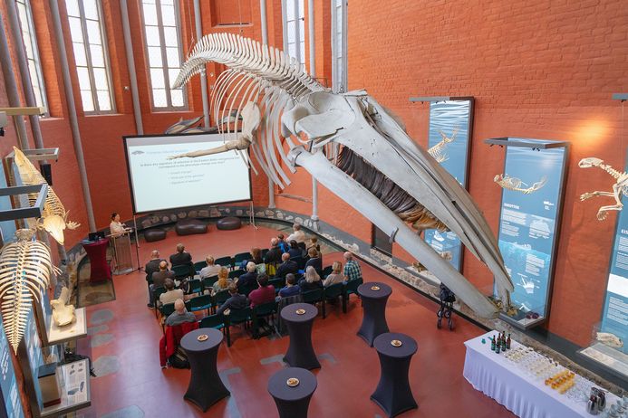 Stuhlreihen und Stehtresen unter einem hängenden Walskelett in einem historischen Kirchengebäude