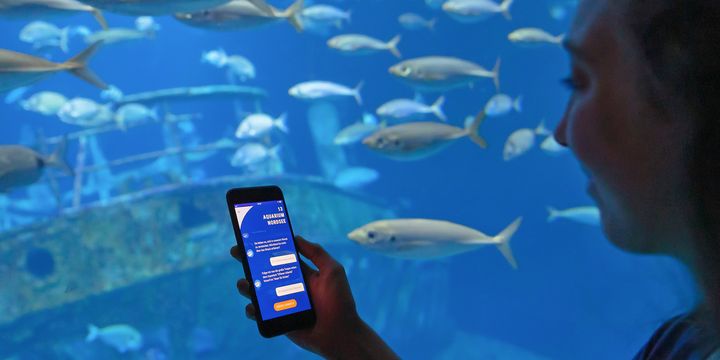 Eine junge Frau hält ein Smartphone vor ein Aquarium mit Fischschwärmen. Auf dem Bildschirm ist eine App geöffnet. In der Überschrift steht: "Aquarium Nordsee".