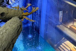 Felsdekoration in einem Großaquarium mit Blick nach außen in den Besucherbereich